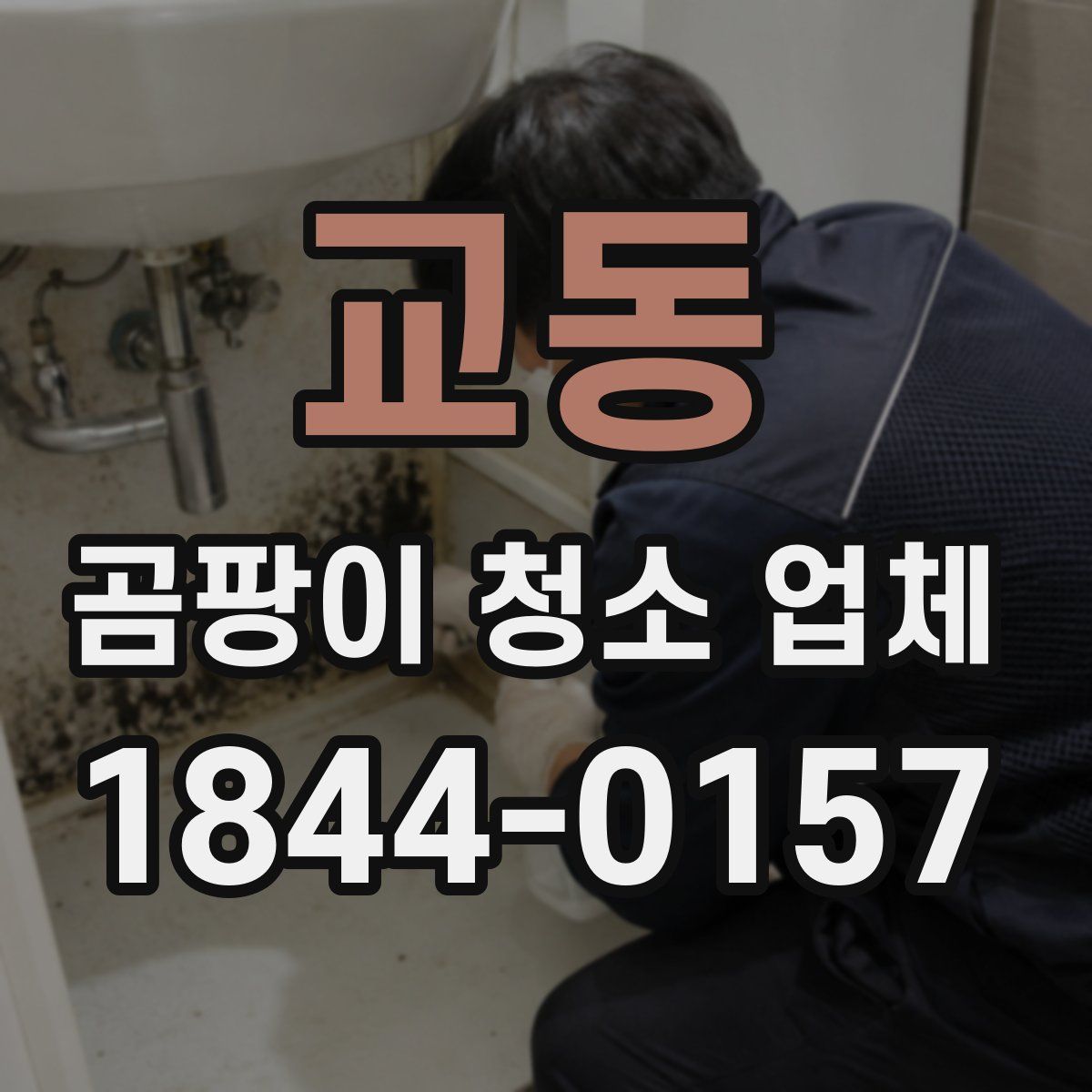 교동 곰팡이 청소 업체