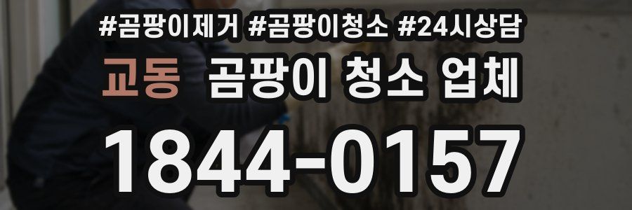 교동 곰팡이 청소 업체
