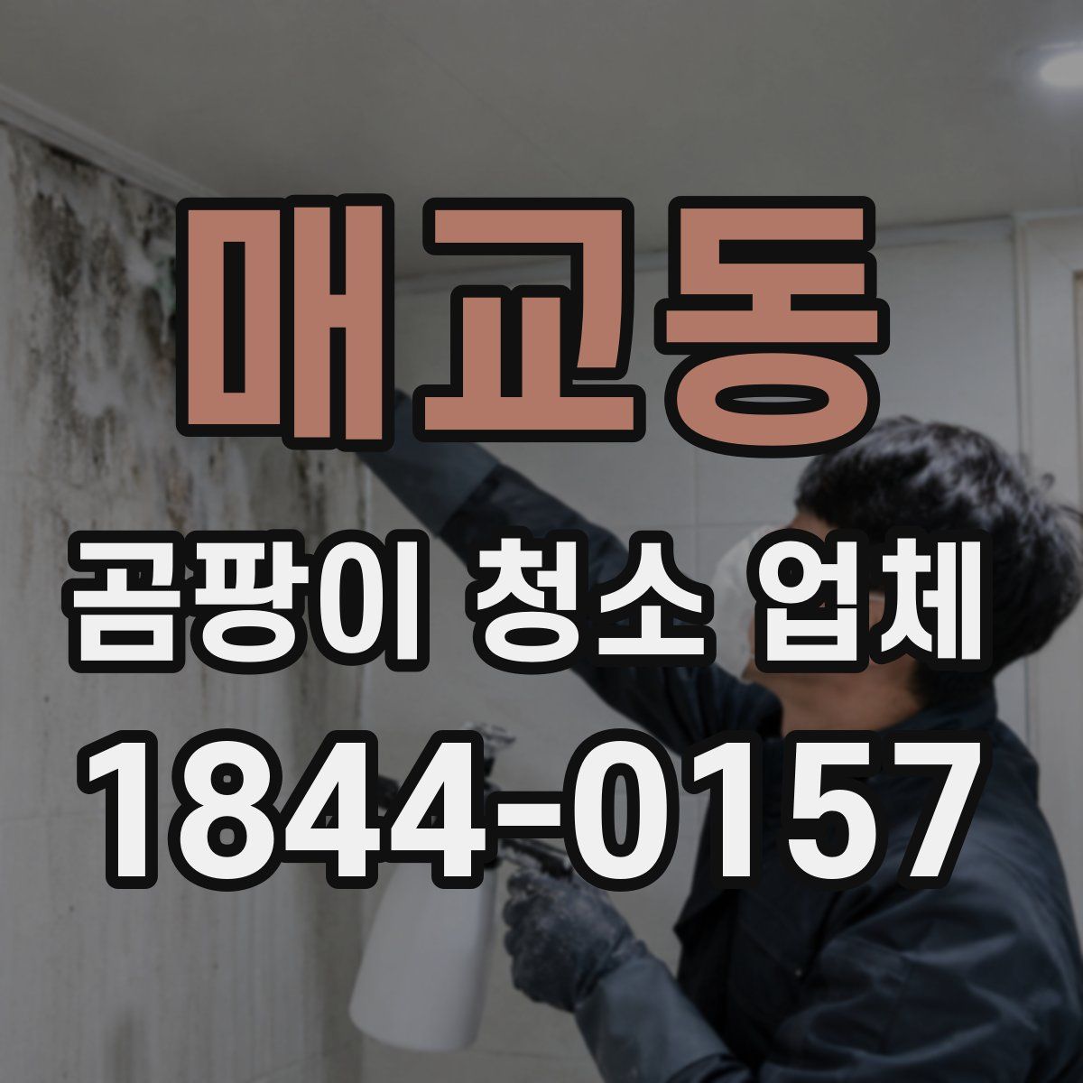 매교동 곰팡이 청소 업체
