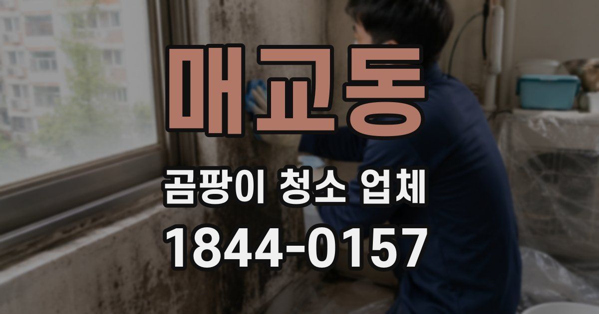 매교동 곰팡이 청소 업체