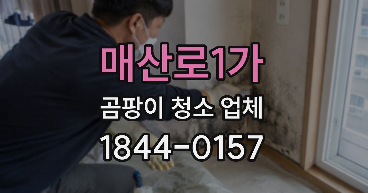 매산로1가 곰팡이 청소 업체