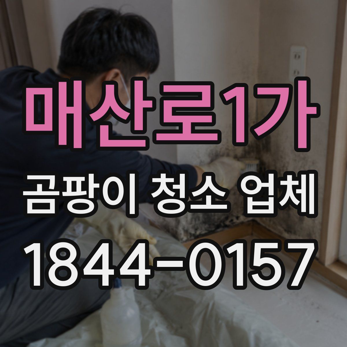 매산로1가 곰팡이 청소 업체