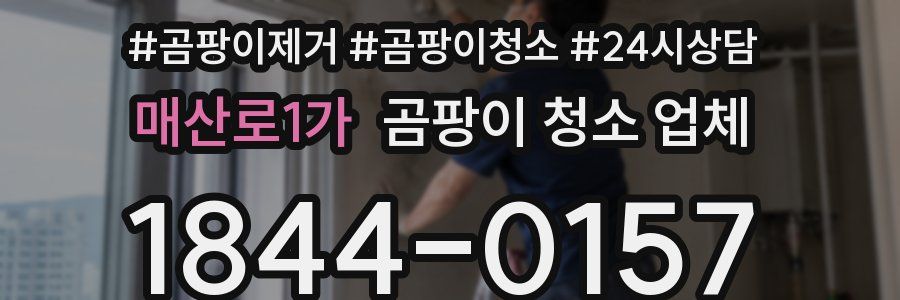 매산로1가 곰팡이 청소 업체