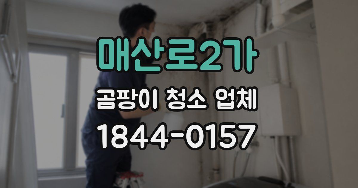 매산로2가 곰팡이 청소 업체