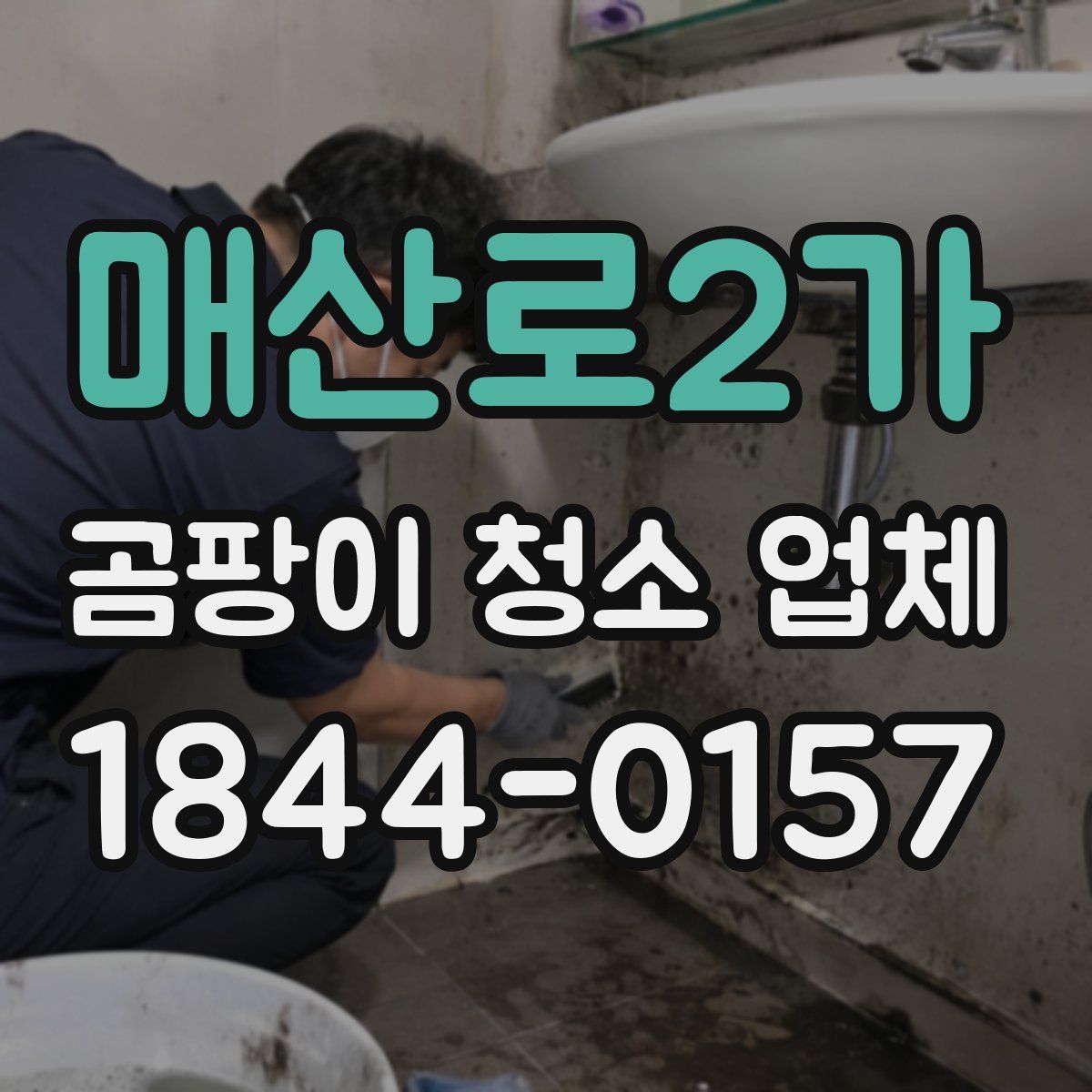 매산로2가 곰팡이 청소 업체