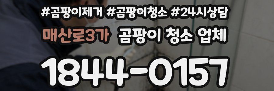 매산로3가 곰팡이 청소 업체