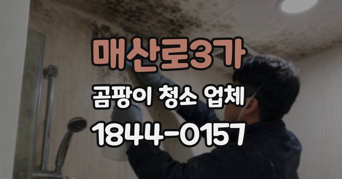 매산로3가 곰팡이 청소 업체