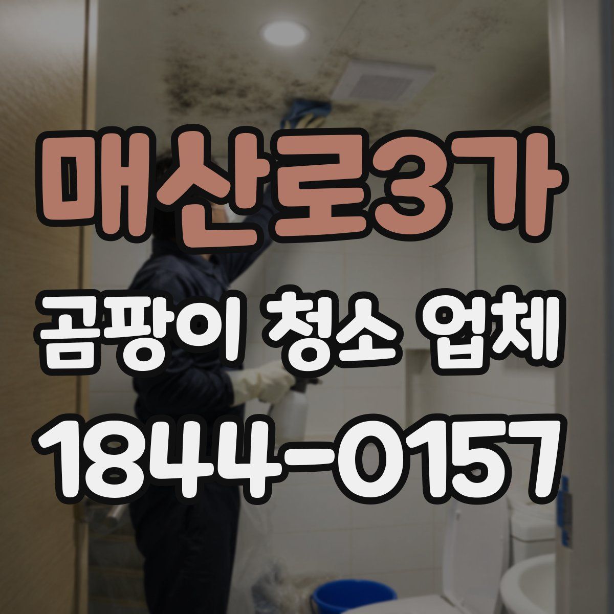 매산로3가 곰팡이 청소 업체