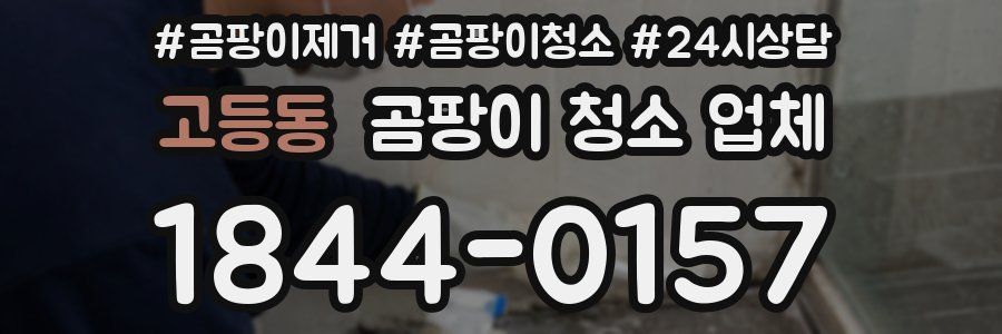고등동 곰팡이 청소 업체