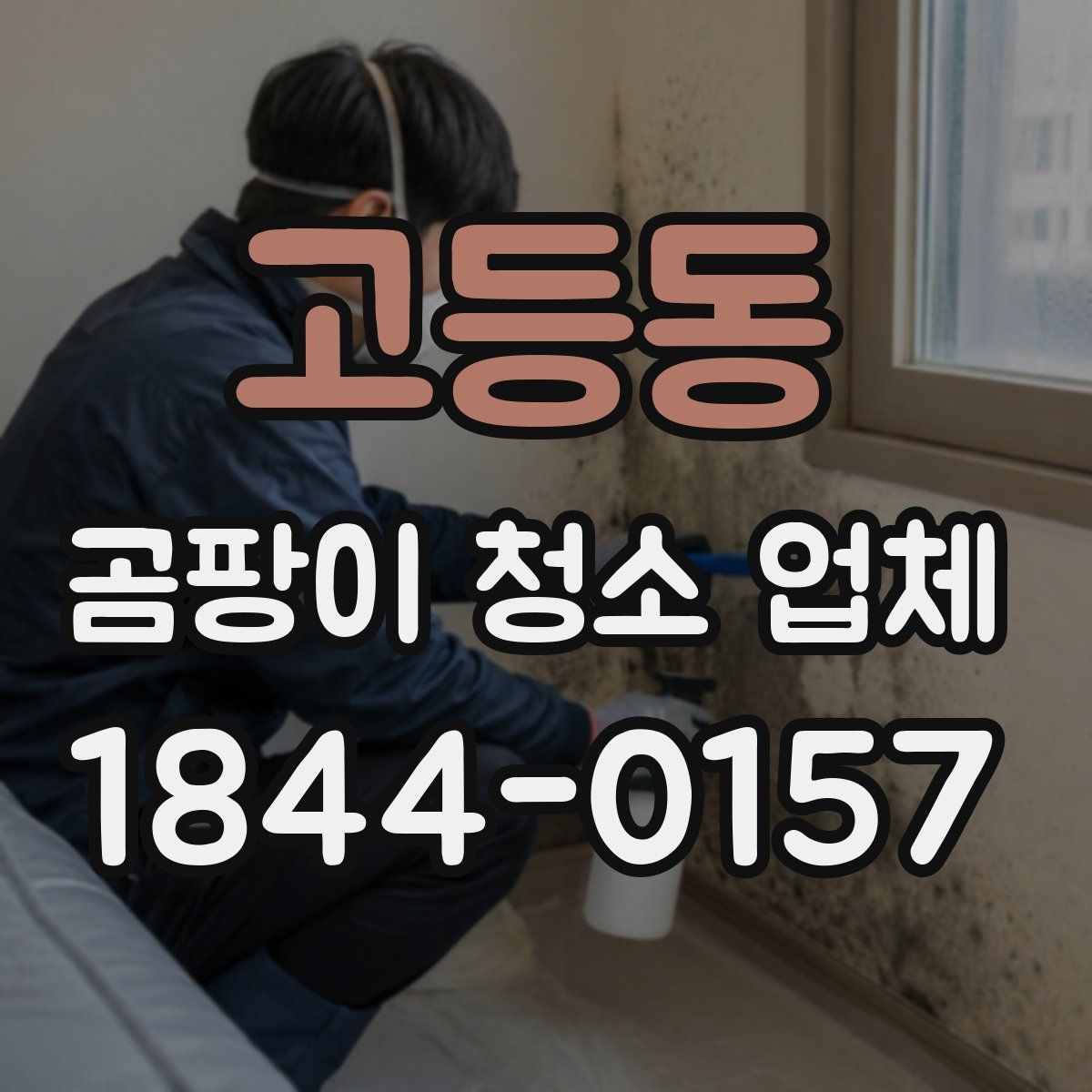 고등동 곰팡이 청소 업체