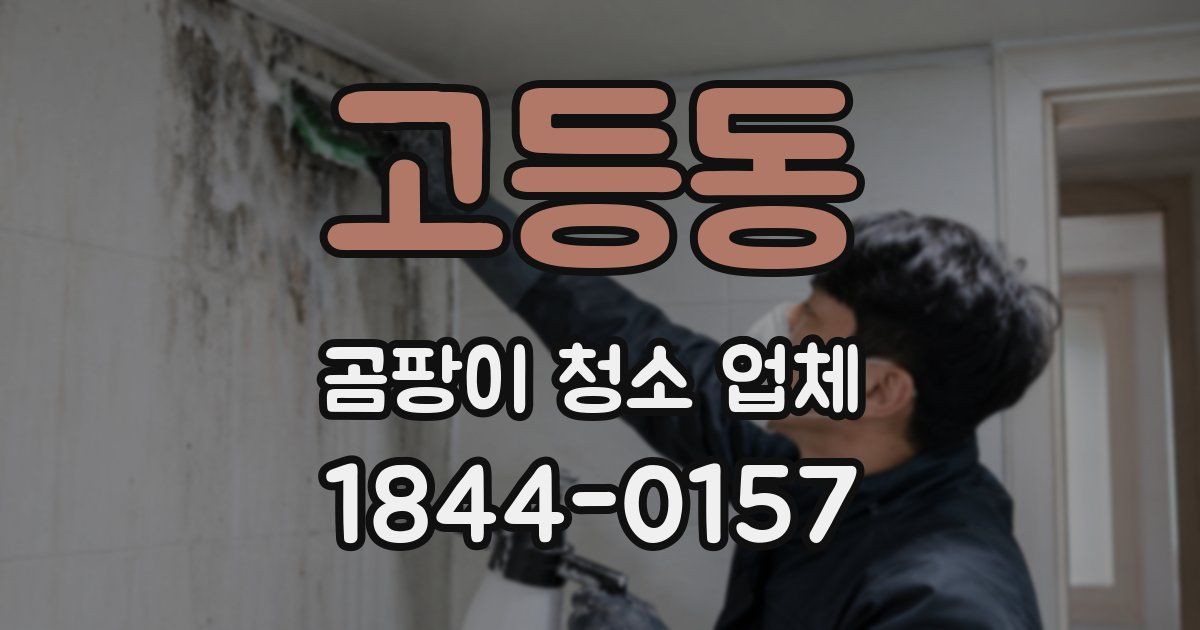 고등동 곰팡이 청소 업체