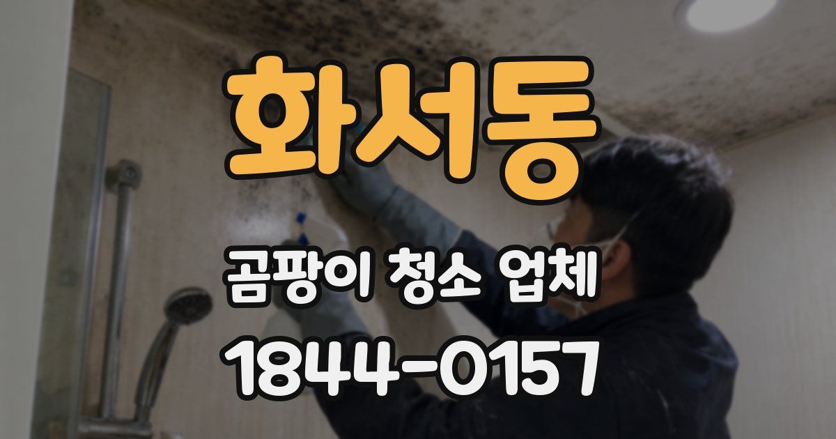 화서동 곰팡이 청소 업체