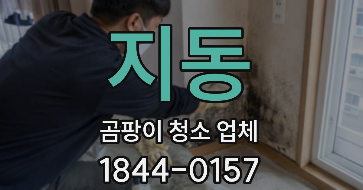지동 곰팡이 청소 업체