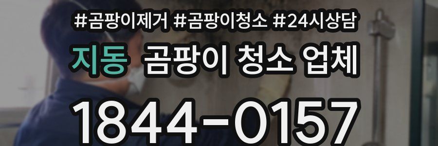 지동 곰팡이 청소 업체