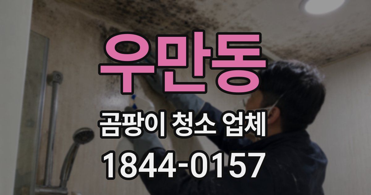 우만동 곰팡이 청소 업체