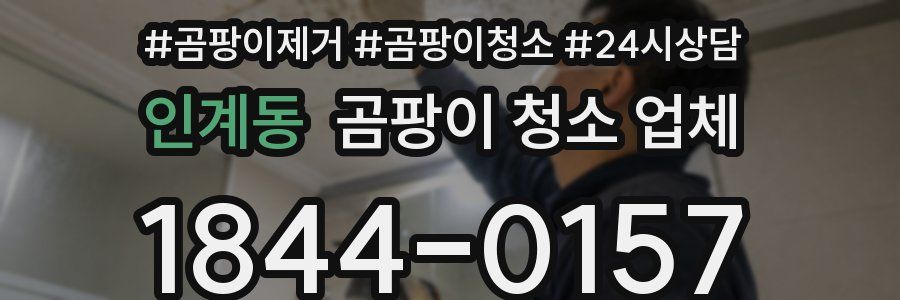 인계동 곰팡이 청소 업체