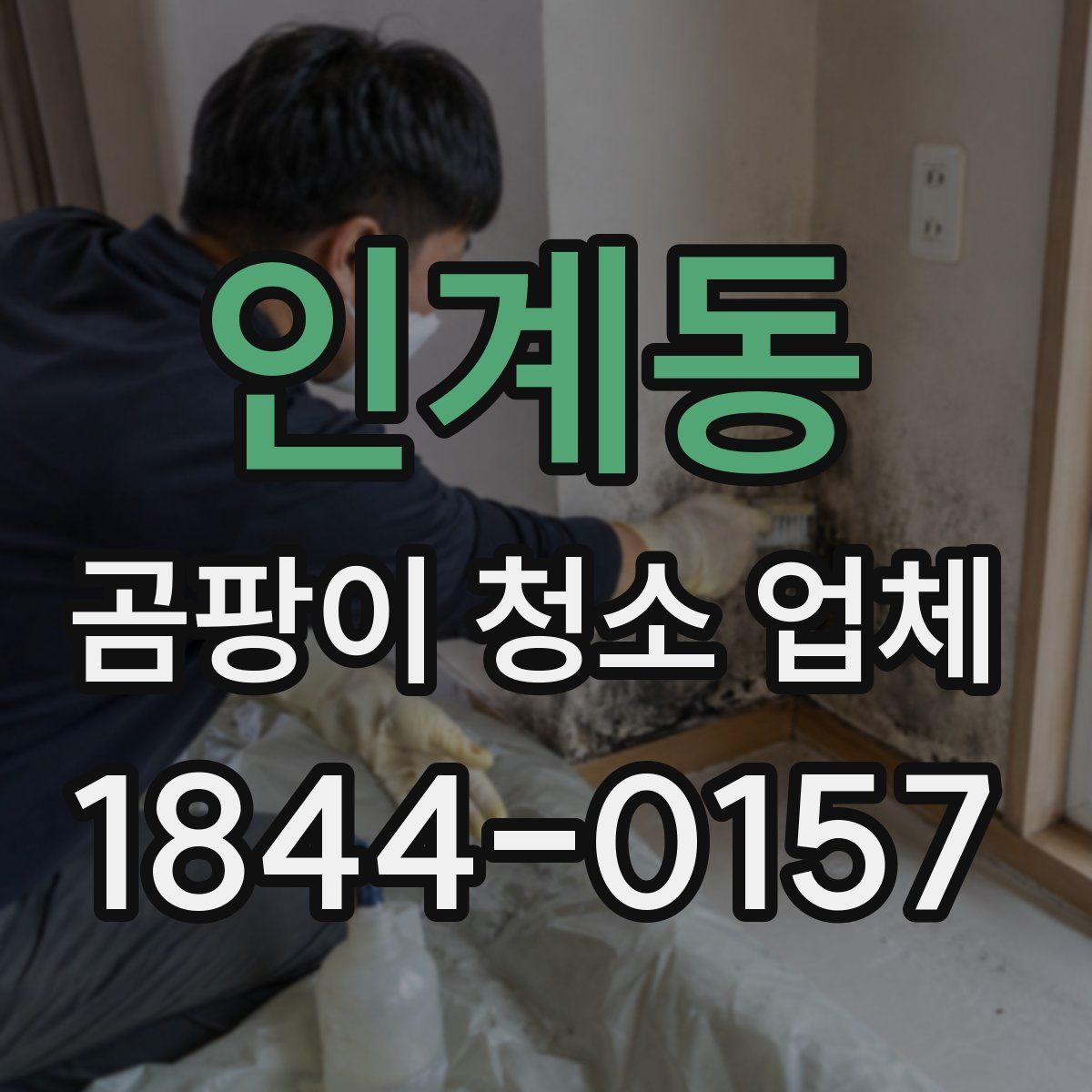 인계동 곰팡이 청소 업체