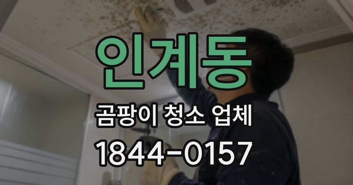 인계동 곰팡이 청소 업체