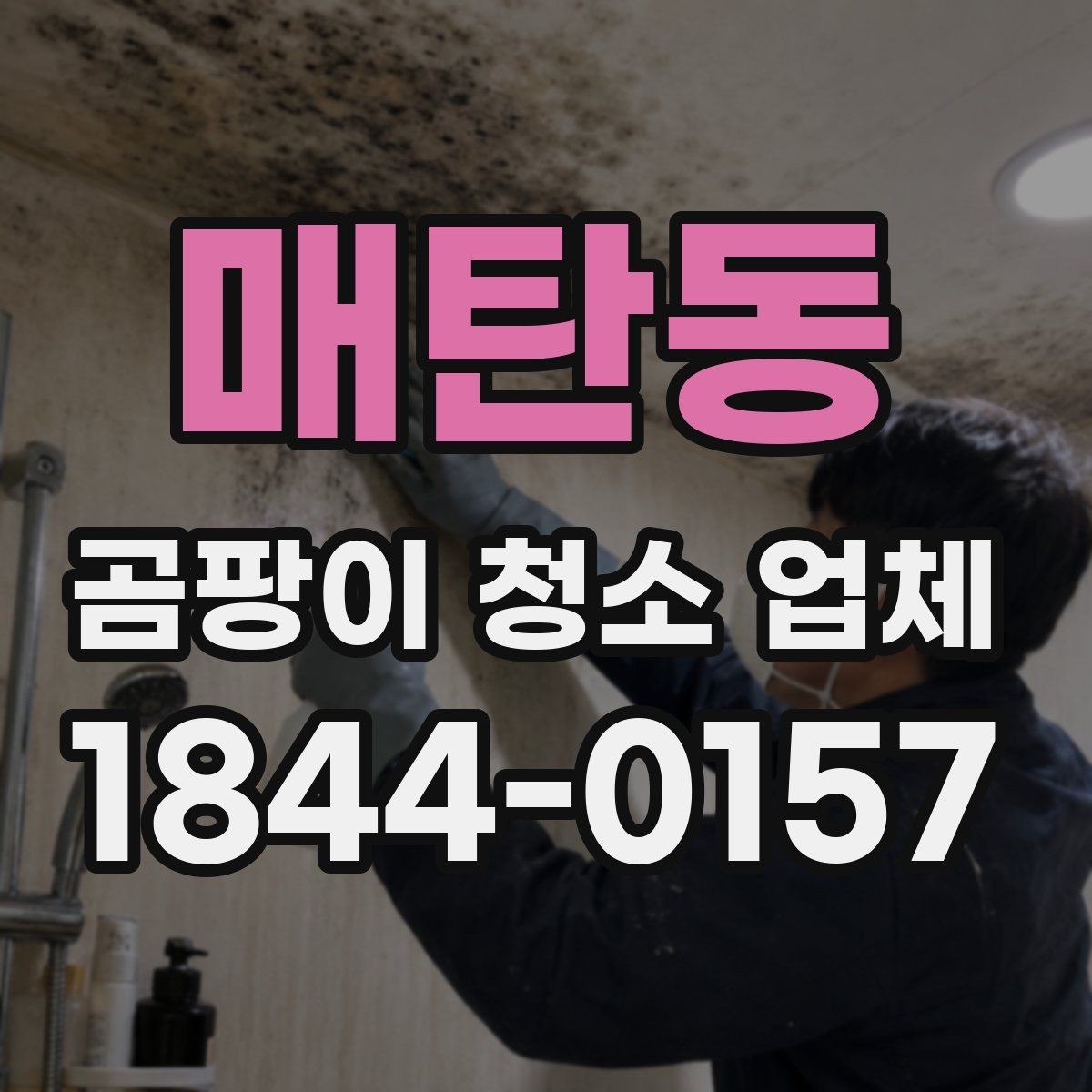 매탄동 곰팡이 청소 업체 견적서에서 작업 범위를 확인하는 법