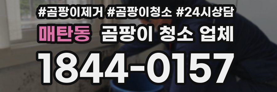 매탄동 곰팡이 청소 업체