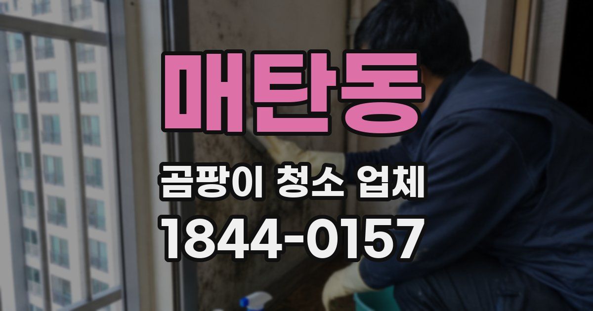 매탄동 곰팡이 청소 업체