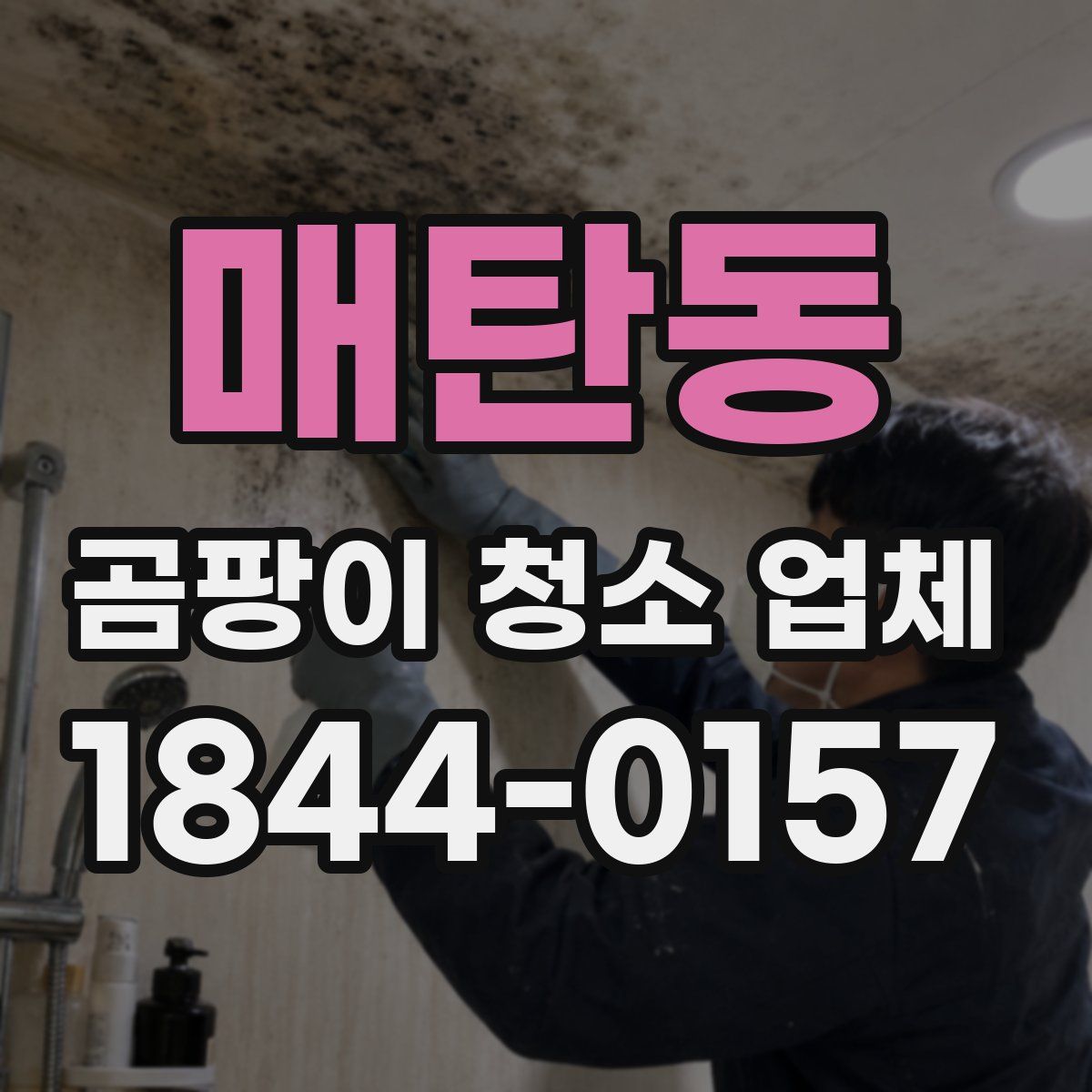 매탄동 곰팡이 청소 업체