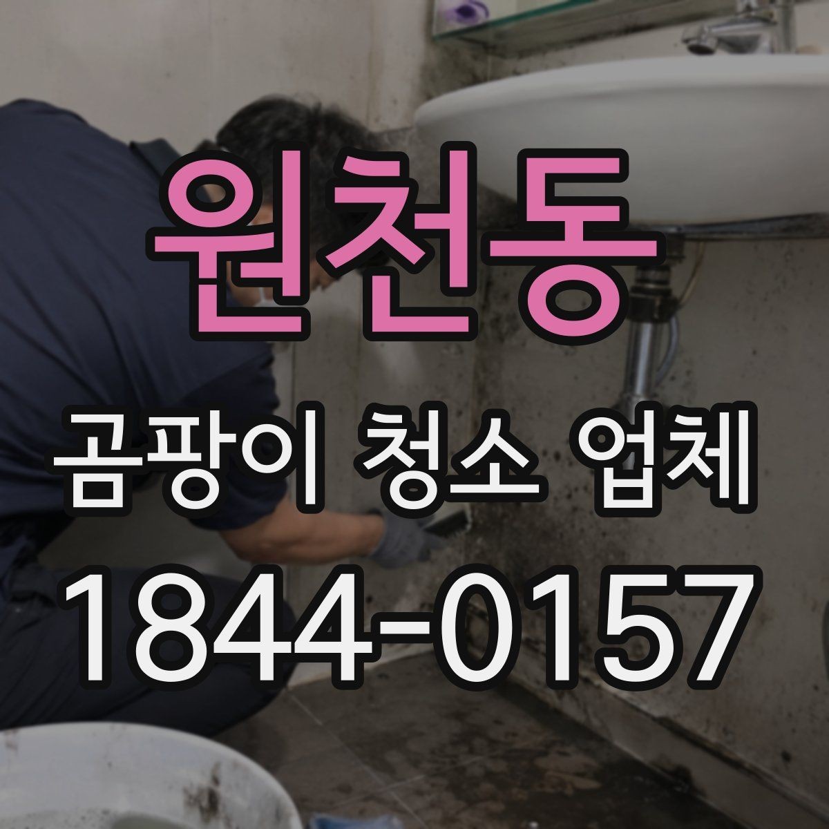 원천동 곰팡이 청소 업체 공간별로 달라지는 맞춤 청소 방식