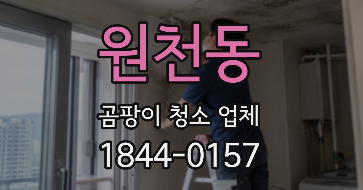 원천동 곰팡이 청소 업체