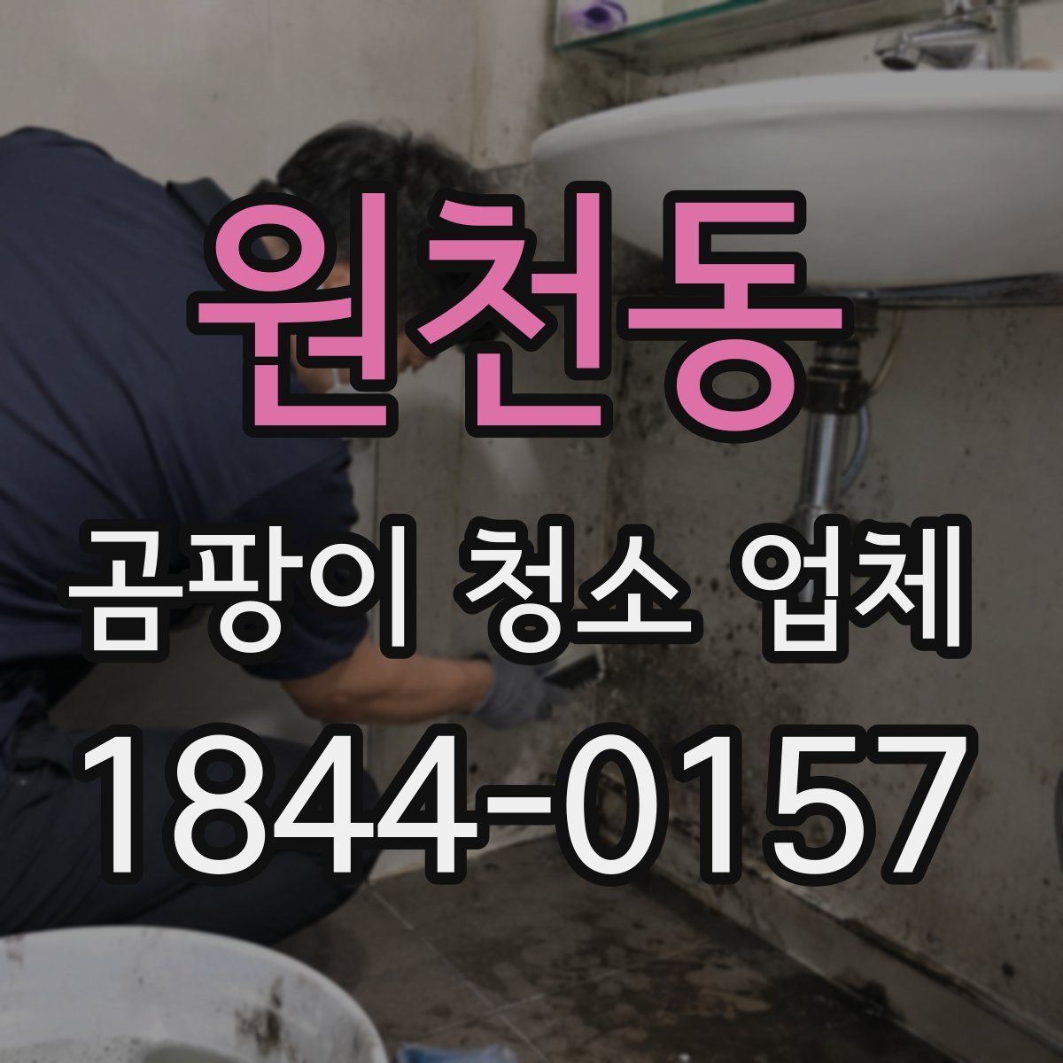 원천동 곰팡이 청소 업체