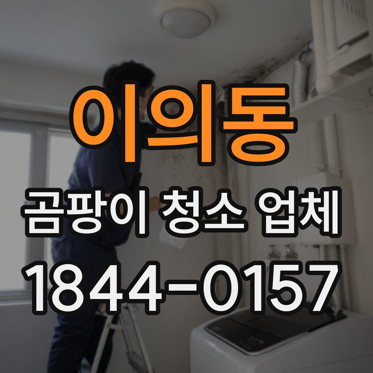 이의동 곰팡이 청소 업체
