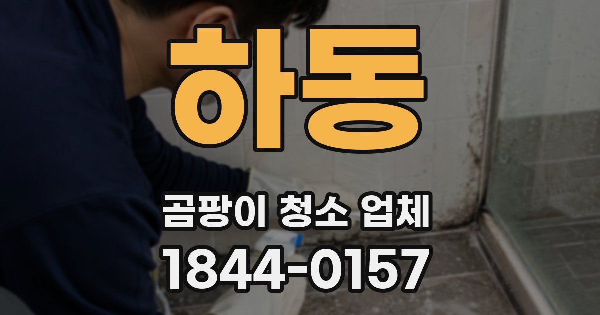 하동 곰팡이 청소 업체