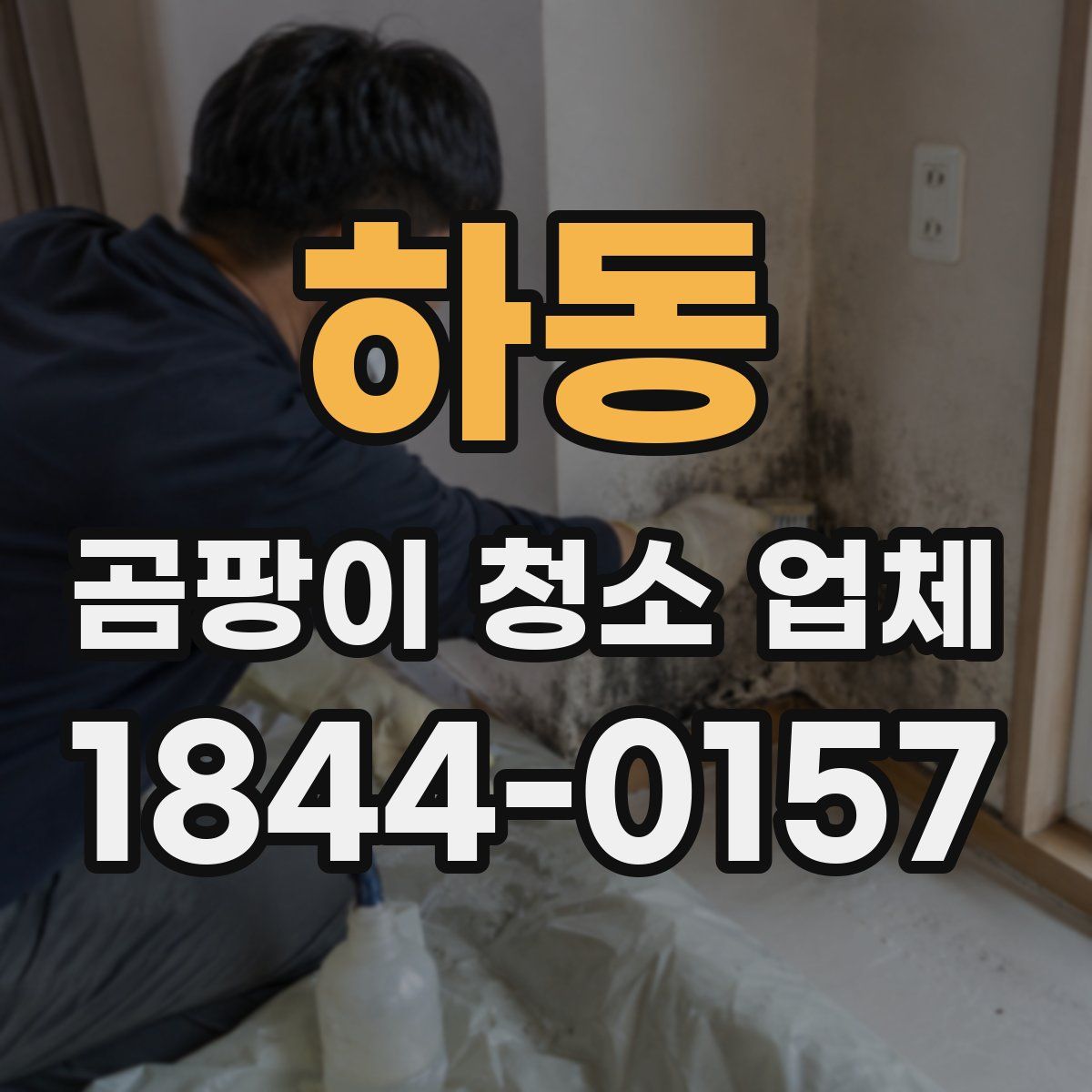 하동 곰팡이 청소 업체