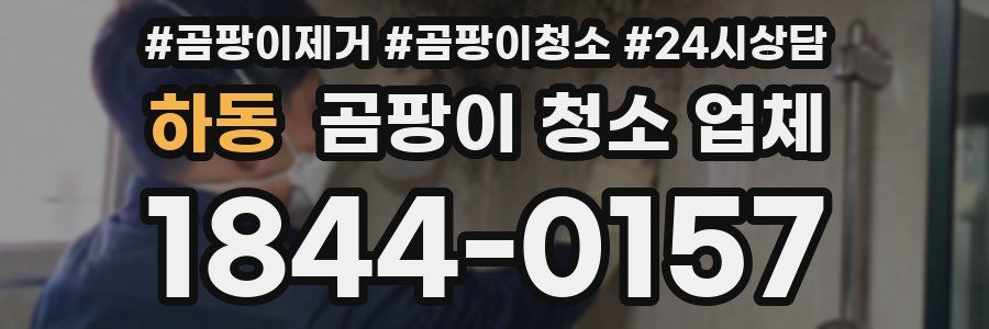 하동 곰팡이 청소 업체