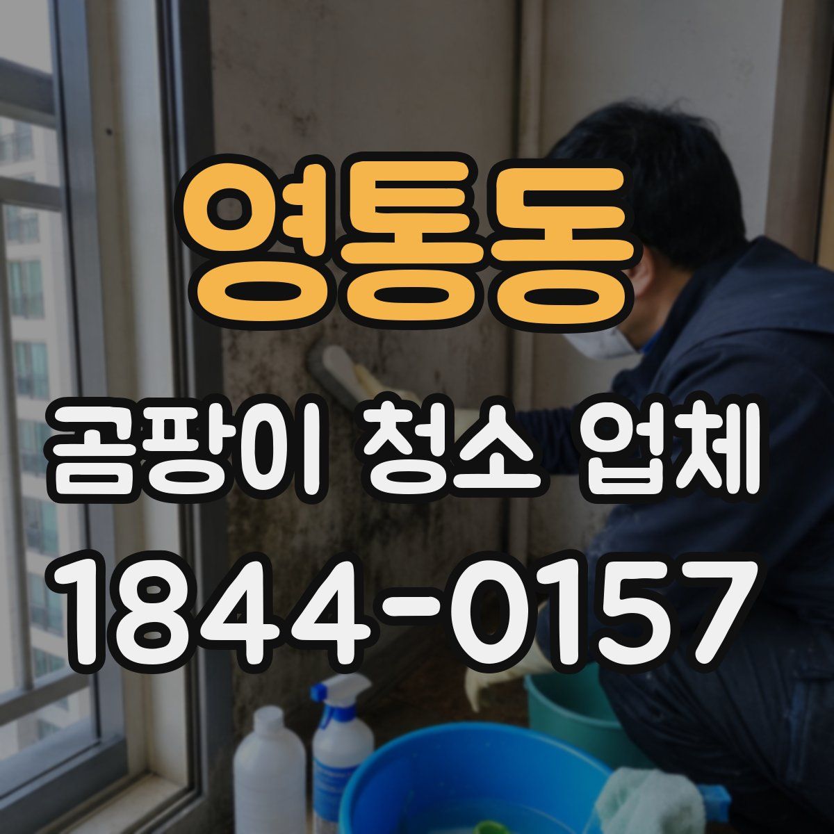 영통동 곰팡이 청소 업체