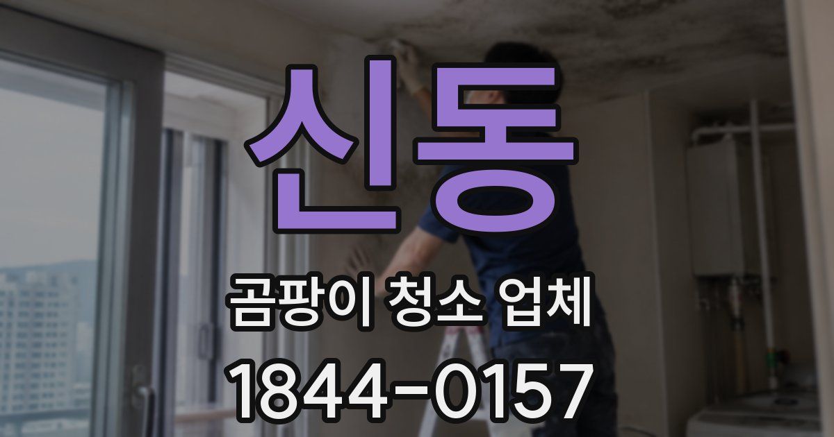 신동 곰팡이 청소 업체