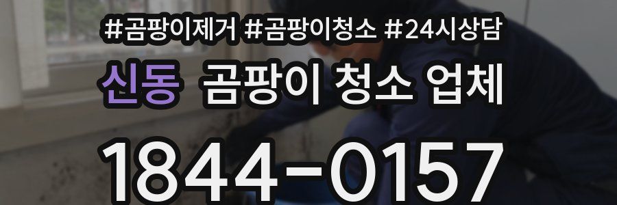 신동 곰팡이 청소 업체