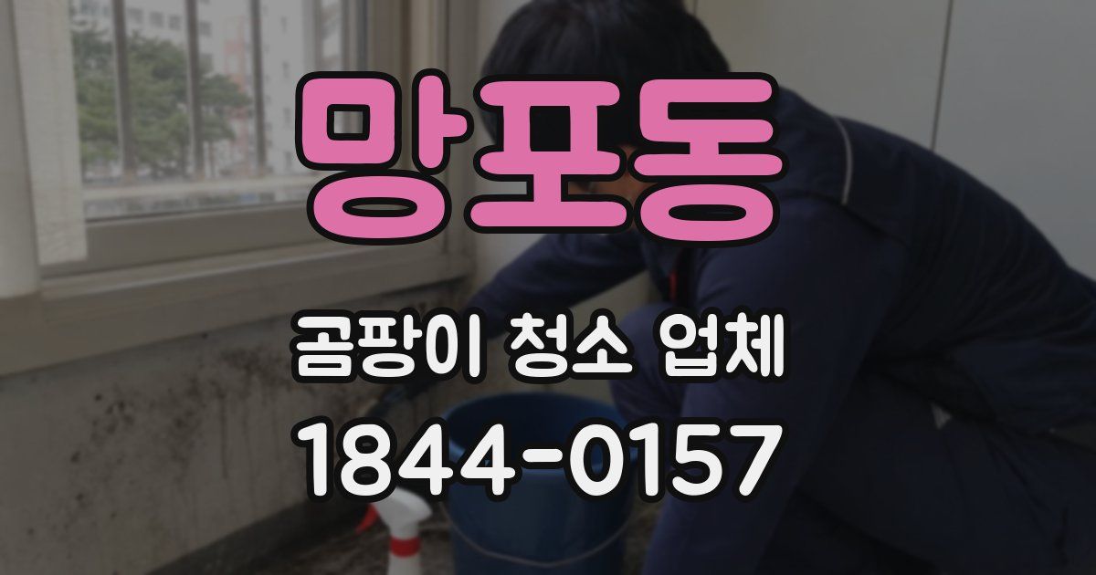 망포동 곰팡이 청소 업체