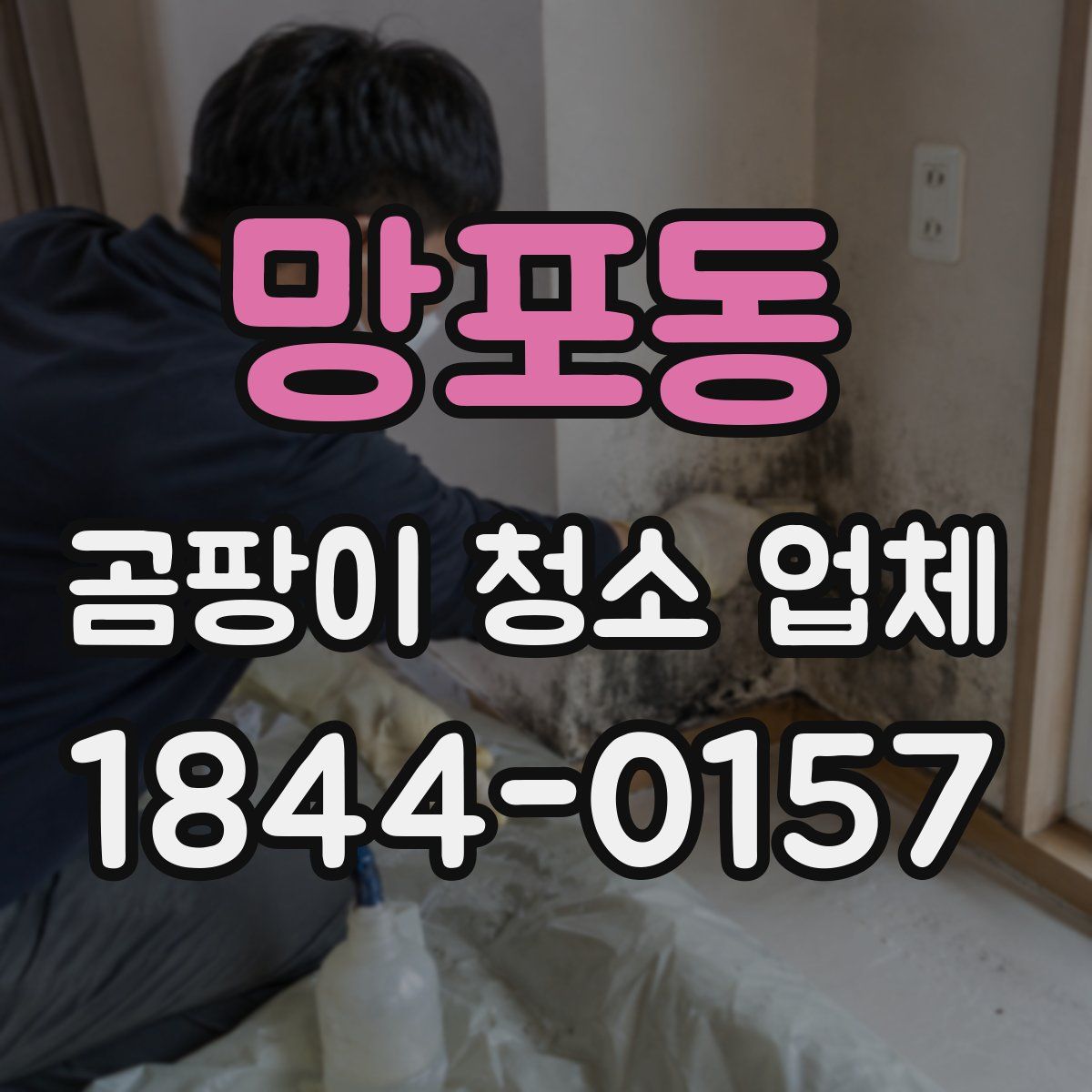 망포동 곰팡이 청소 업체