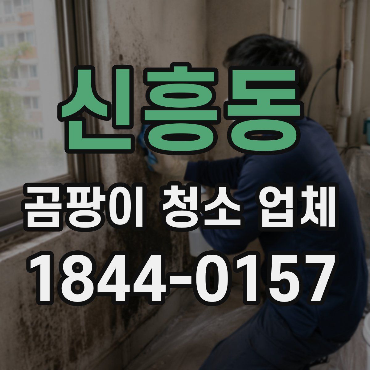 신흥동 곰팡이 청소 업체