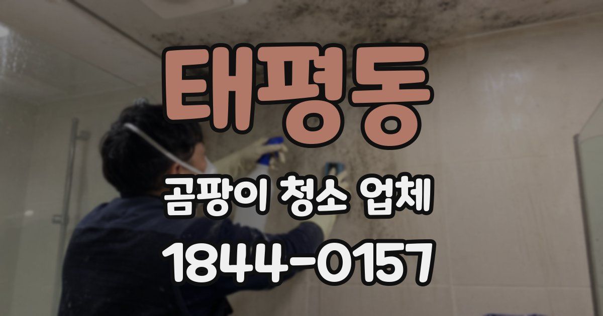 태평동 곰팡이 청소 업체