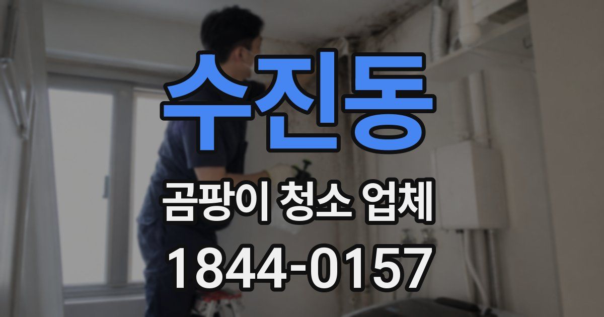 수진동 곰팡이 청소 업체