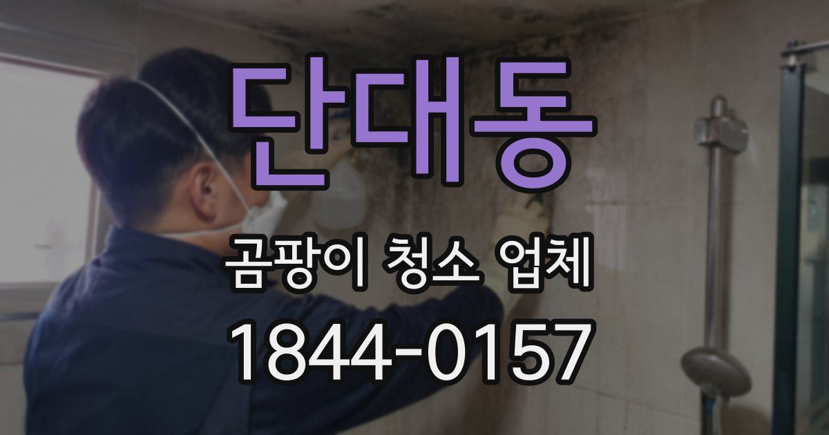 단대동 곰팡이 청소 업체