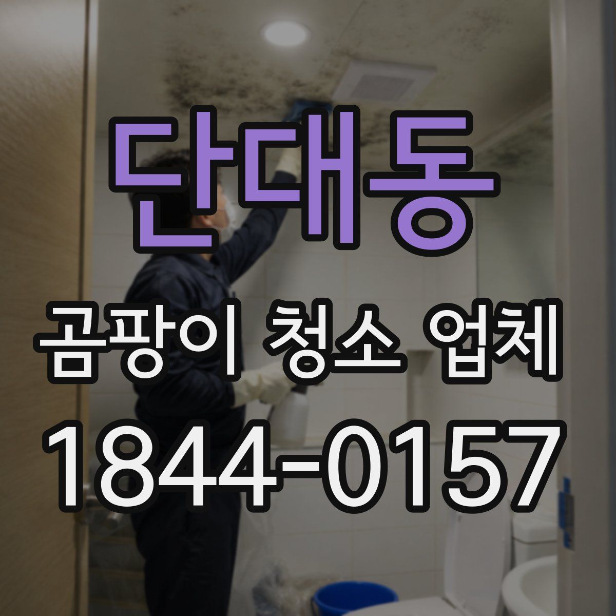 단대동 곰팡이 청소 업체
