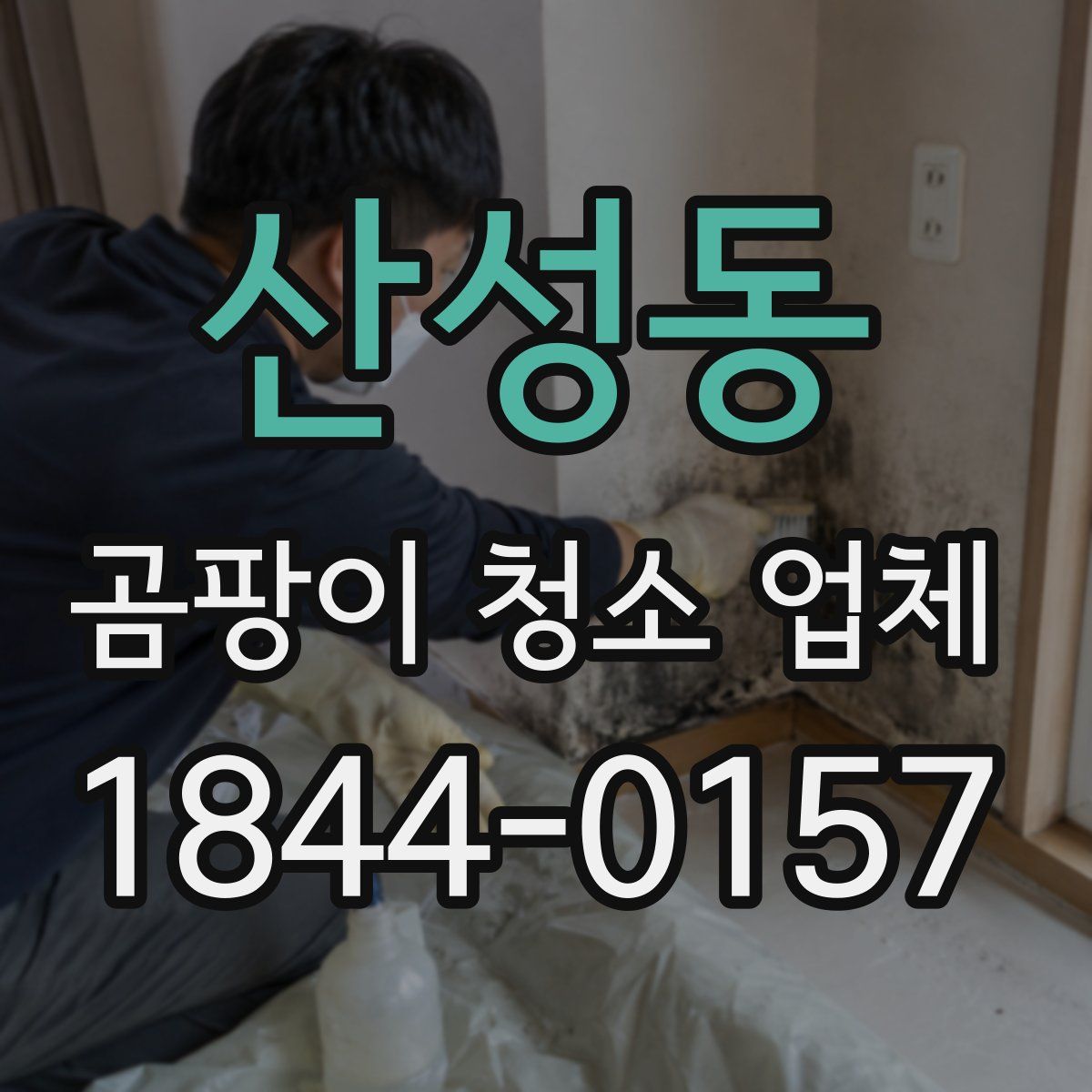 산성동 곰팡이 청소 업체