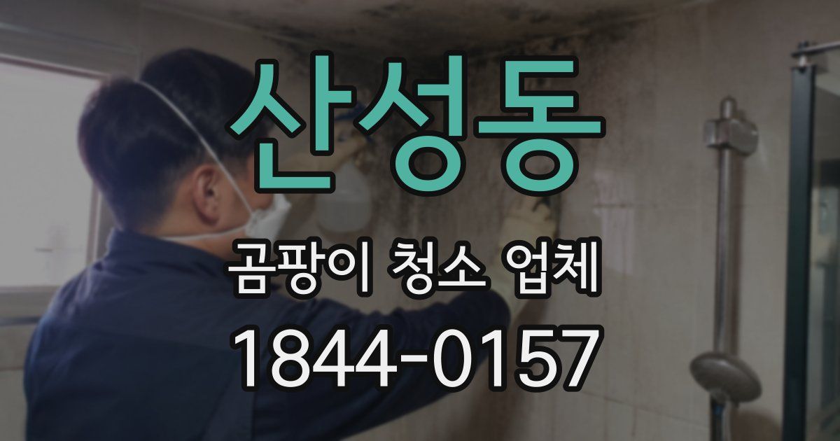 산성동 곰팡이 청소 업체