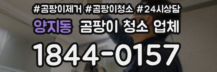 양지동 곰팡이 청소 업체