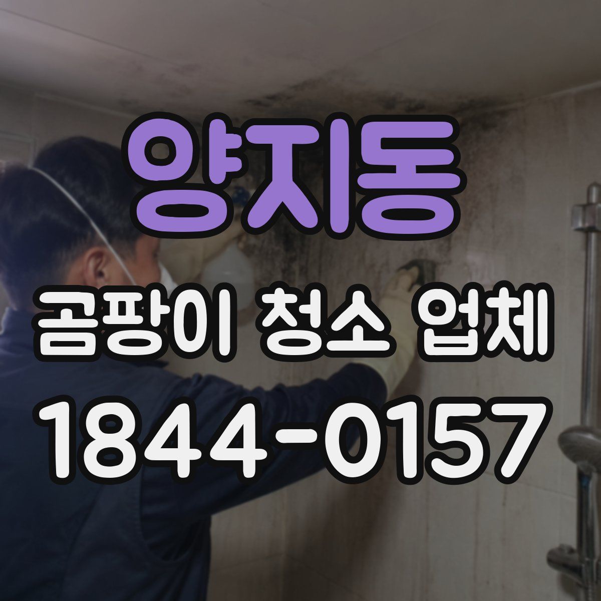 양지동 곰팡이 청소 업체