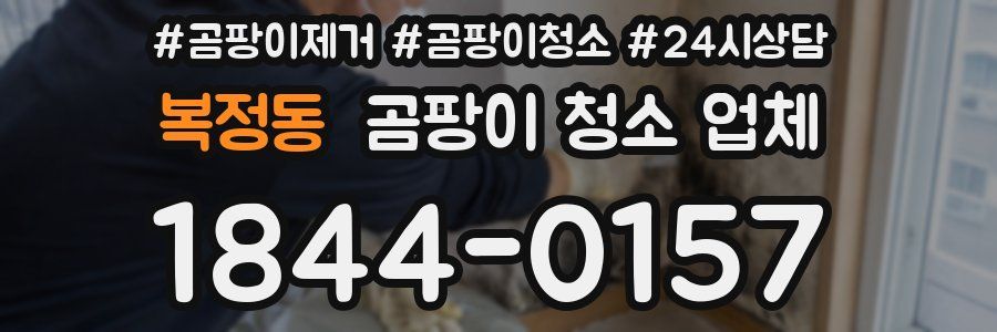 복정동 곰팡이 청소 업체