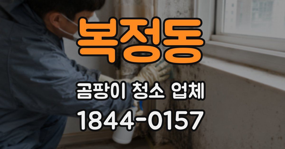 복정동 곰팡이 청소 업체