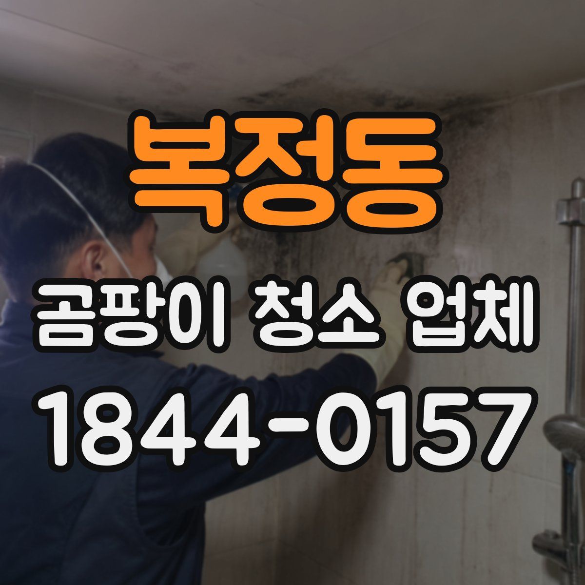 복정동 곰팡이 청소 업체